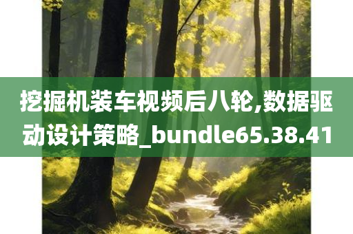 挖掘机装车视频后八轮,数据驱动设计策略_bundle65.38.41