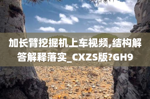 加长臂挖掘机上车视频,结构解答解释落实_CXZS版?GH9