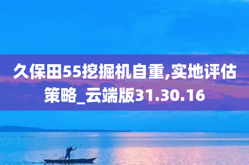 久保田55挖掘机自重,实地评估策略_云端版31.30.16