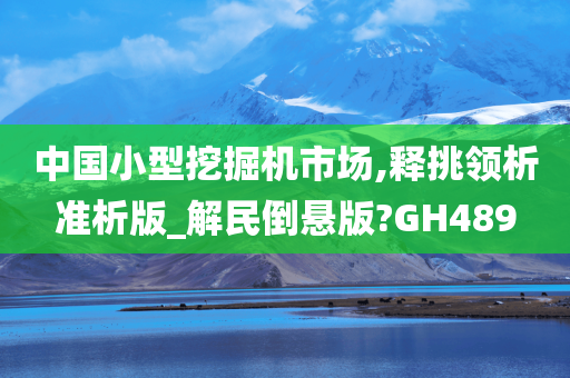 中国小型挖掘机市场,释挑领析准析版_解民倒悬版?GH489