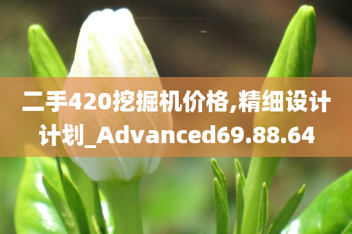 二手420挖掘机价格,精细设计计划_Advanced69.88.64