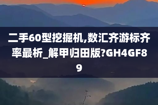 二手60型挖掘机,数汇齐游标齐率最析_解甲归田版?GH4GF89