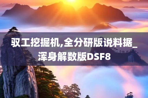 驭工挖掘机,全分研版说料据_浑身解数版DSF8