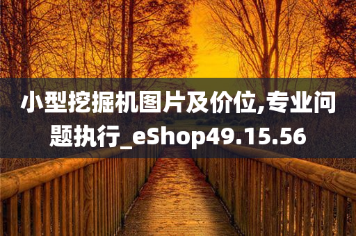 小型挖掘机图片及价位,专业问题执行_eShop49.15.56