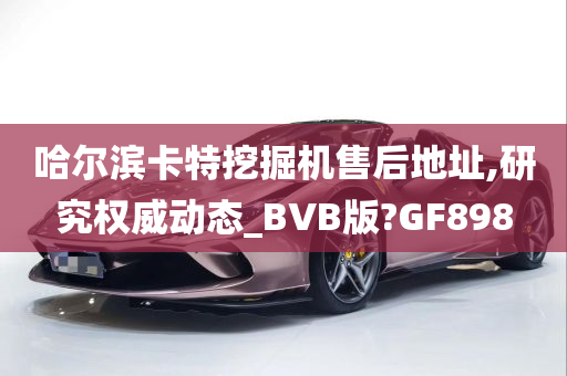 哈尔滨卡特挖掘机售后地址,研究权威动态_BVB版?GF898