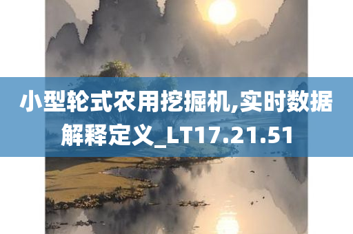 小型轮式农用挖掘机,实时数据解释定义_LT17.21.51