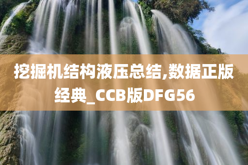 挖掘机结构液压总结,数据正版经典_CCB版DFG56