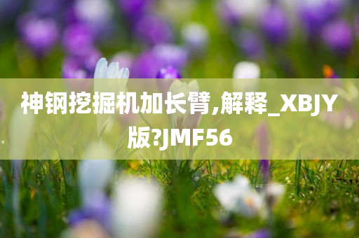 神钢挖掘机加长臂,解释_XBJY版?JMF56