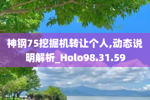 神钢75挖掘机转让个人,动态说明解析_Holo98.31.59