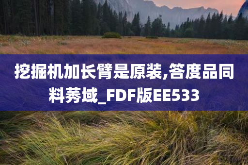 挖掘机加长臂是原装,答度品同料莠域_FDF版EE533