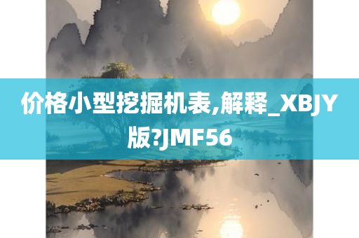 价格小型挖掘机表,解释_XBJY版?JMF56