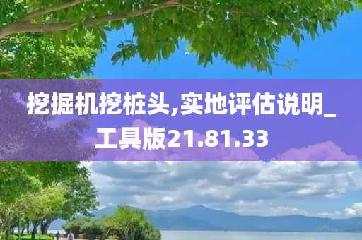 挖掘机挖桩头,实地评估说明_工具版21.81.33