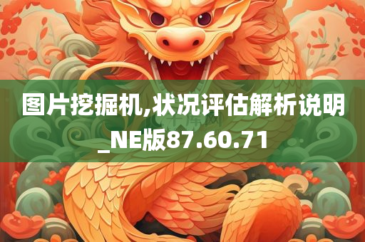 图片挖掘机,状况评估解析说明_NE版87.60.71