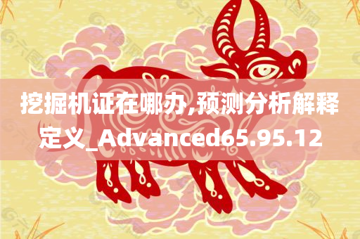 挖掘机证在哪办,预测分析解释定义_Advanced65.95.12