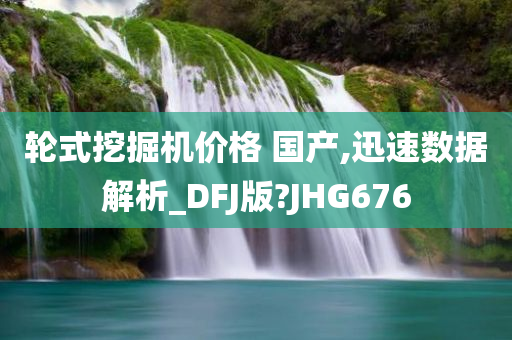 轮式挖掘机价格 国产,迅速数据解析_DFJ版?JHG676