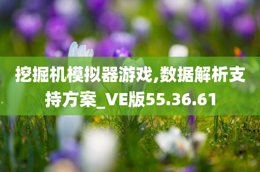 挖掘机模拟器游戏,数据解析支持方案_VE版55.36.61