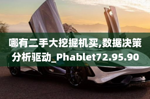 哪有二手大挖掘机买,数据决策分析驱动_Phablet72.95.90