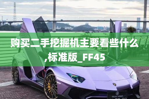 购买二手挖掘机主要看些什么,标准版_FF45