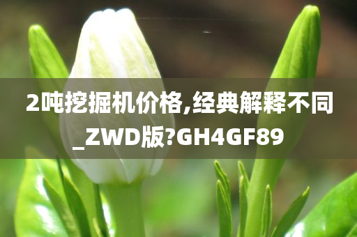 2吨挖掘机价格,经典解释不同_ZWD版?GH4GF89