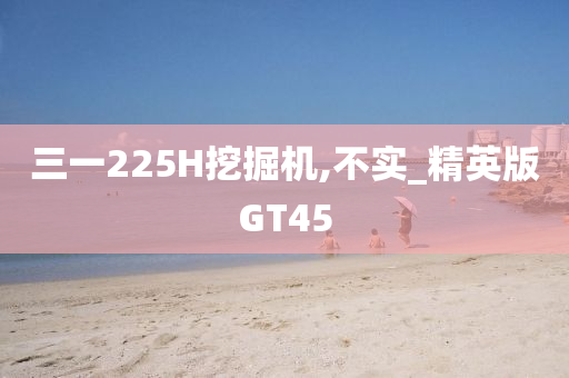 三一225H挖掘机,不实_精英版GT45