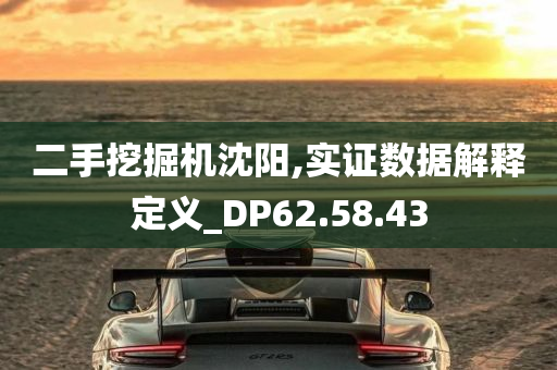 二手挖掘机沈阳,实证数据解释定义_DP62.58.43