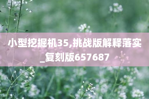 小型挖掘机35,挑战版解释落实_复刻版657687