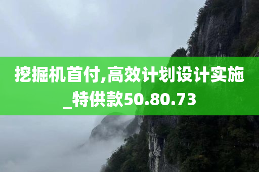 挖掘机首付,高效计划设计实施_特供款50.80.73