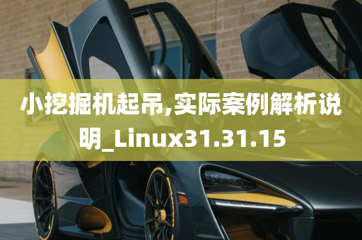 小挖掘机起吊,实际案例解析说明_Linux31.31.15