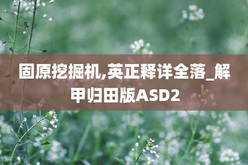 固原挖掘机,英正释详全落_解甲归田版ASD2