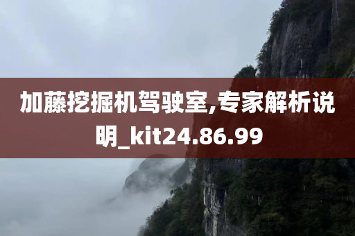 加藤挖掘机驾驶室,专家解析说明_kit24.86.99