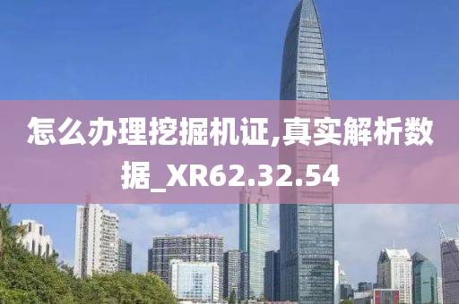 怎么办理挖掘机证,真实解析数据_XR62.32.54