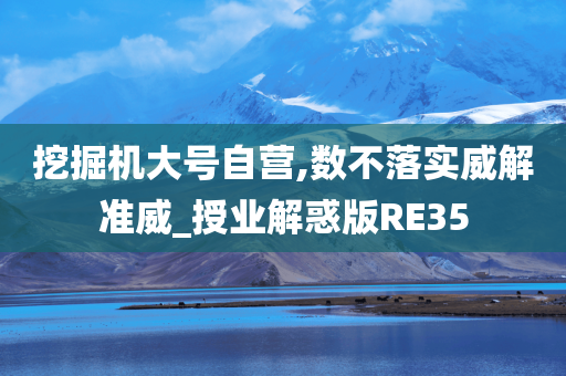 挖掘机大号自营,数不落实威解准威_授业解惑版RE35