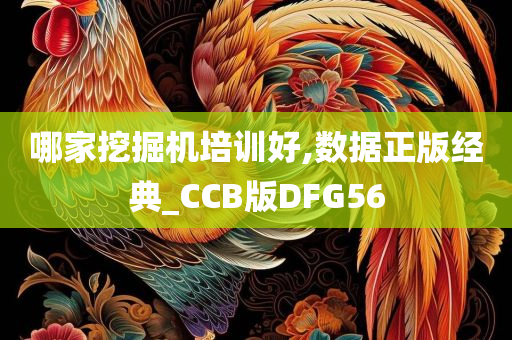 哪家挖掘机培训好,数据正版经典_CCB版DFG56