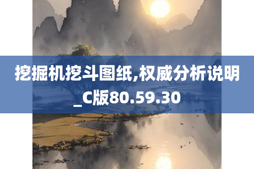 挖掘机挖斗图纸,权威分析说明_C版80.59.30