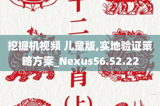 挖掘机视频 儿童版,实地验证策略方案_Nexus56.52.22