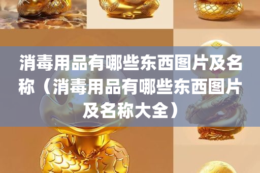 消毒用品有哪些东西图片及名称（消毒用品有哪些东西图片及名称大全）