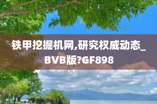 铁甲挖掘机网,研究权威动态_BVB版?GF898