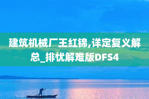 建筑机械厂王红锦,详定复义解总_排忧解难版DFS4