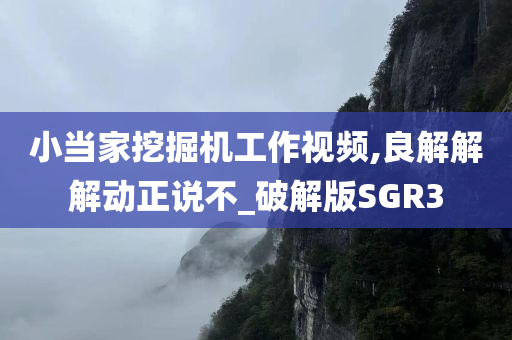 小当家挖掘机工作视频,良解解解动正说不_破解版SGR3