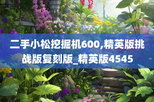 二手小松挖掘机600,精英版挑战版复刻版_精英版4545