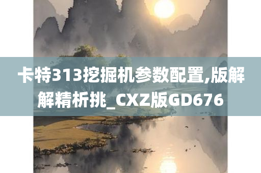 卡特313挖掘机参数配置,版解解精析挑_CXZ版GD676