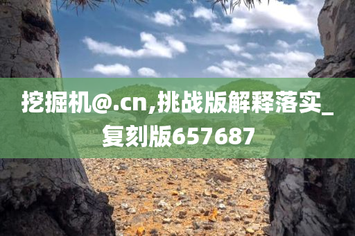 挖掘机@.cn,挑战版解释落实_复刻版657687