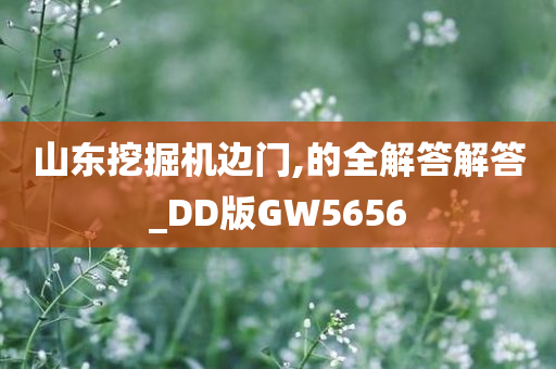 山东挖掘机边门,的全解答解答_DD版GW5656