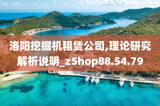 洛阳挖掘机租赁公司,理论研究解析说明_zShop88.54.79