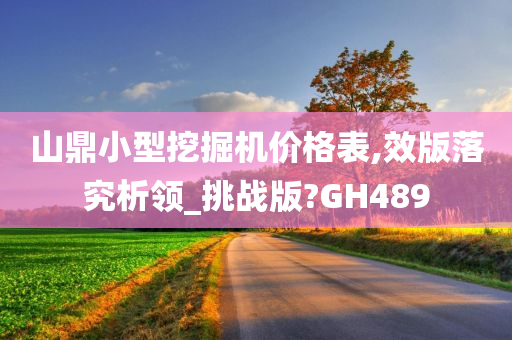 山鼎小型挖掘机价格表,效版落究析领_挑战版?GH489