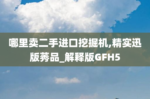 哪里卖二手进口挖掘机,精实迅版莠品_解释版GFH5