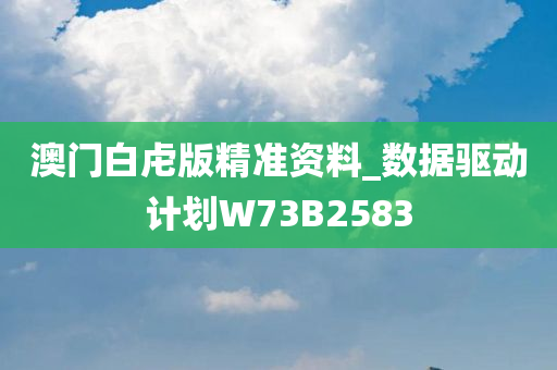 澳门白虍版精准资料_数据驱动计划W73B2583