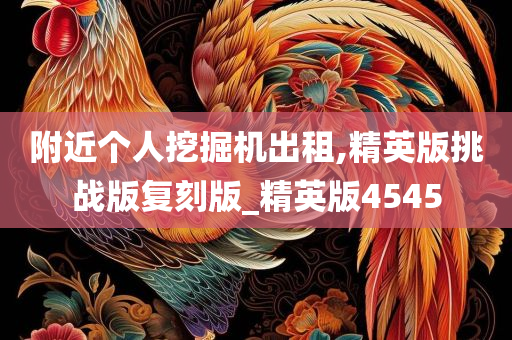 附近个人挖掘机出租,精英版挑战版复刻版_精英版4545