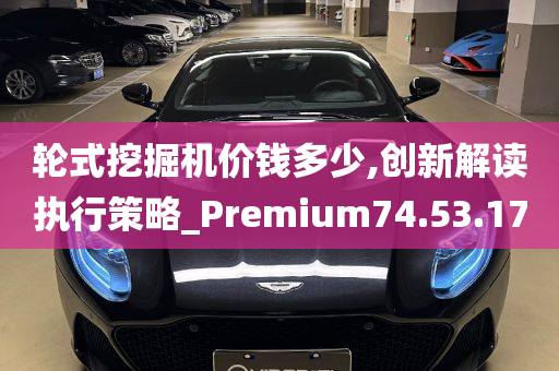 轮式挖掘机价钱多少,创新解读执行策略_Premium74.53.17