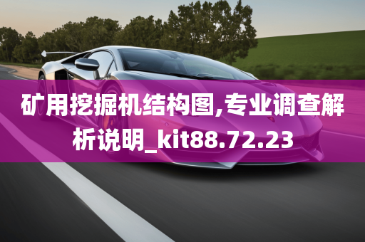 矿用挖掘机结构图,专业调查解析说明_kit88.72.23